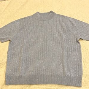 Sparkle in this Shimmery silver short sleeved top!